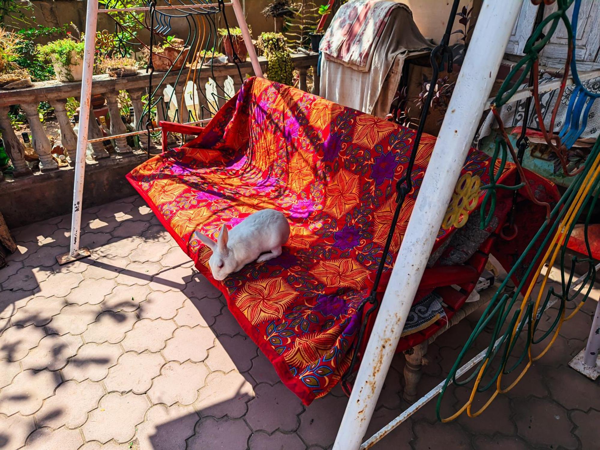 Jaat House Villa Bhuj Exteriör bild